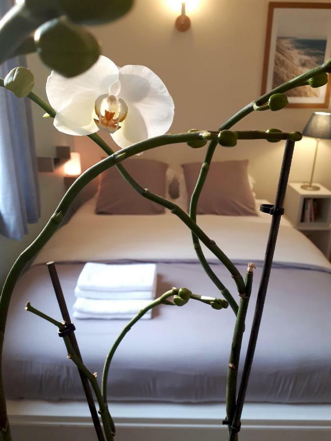 Le Coquet Appartement Sint-Omaars Buitenkant foto